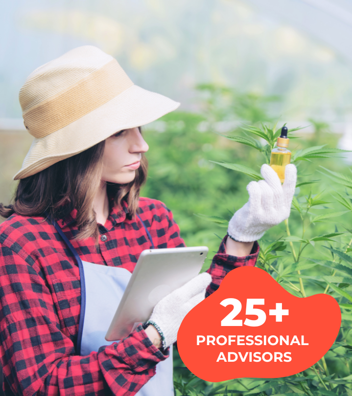 Best Cannabis Marketing Experts