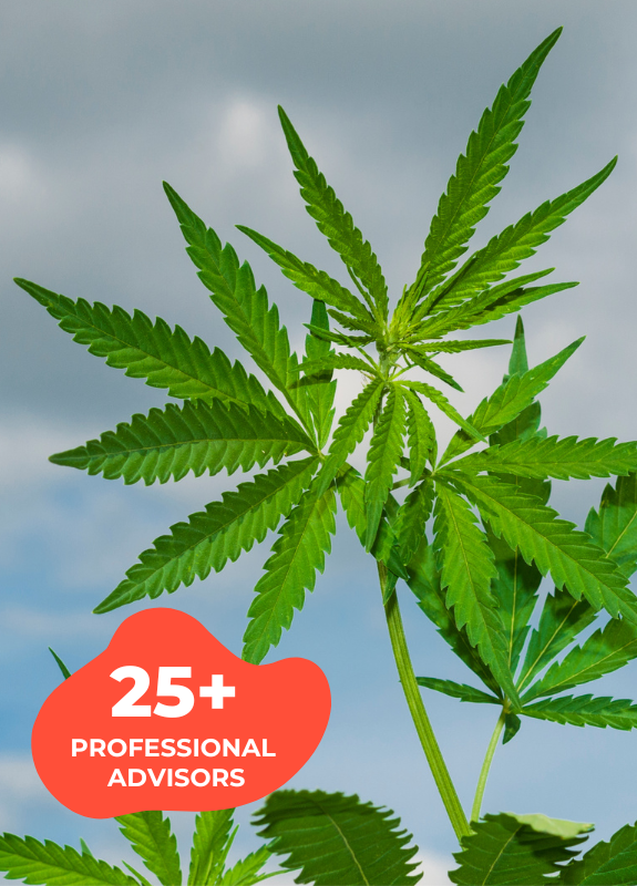 Cannabis Marketing - Professional Advisors