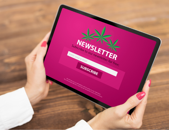 cannabis dispensary email marketing