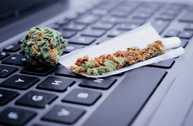 Cannabis SMM - GoCannabis Marketing