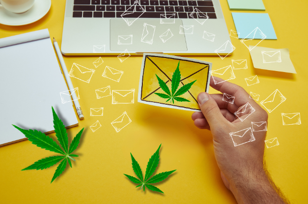 Cannabis Email Marketing