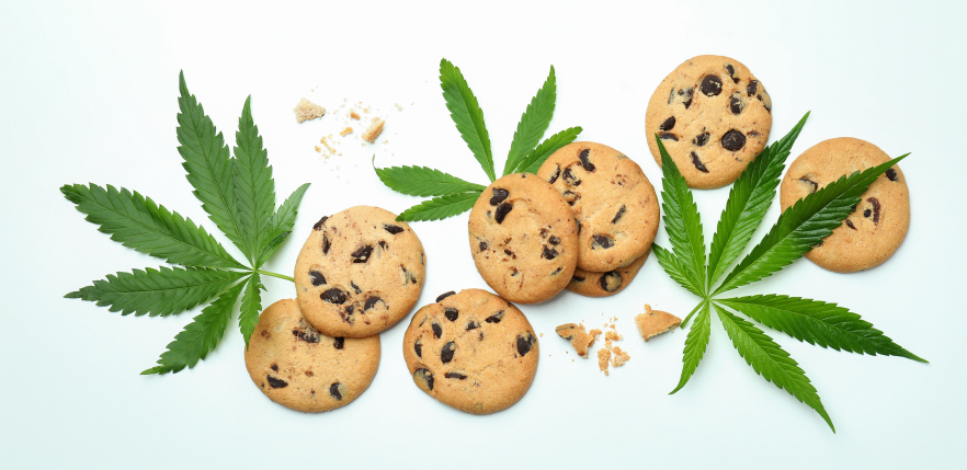 cannabis social network - gocannabis marketing
