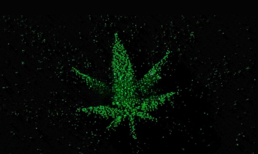 Cannabis-Advertising-on-Google_-Tips-and-Best-Practices