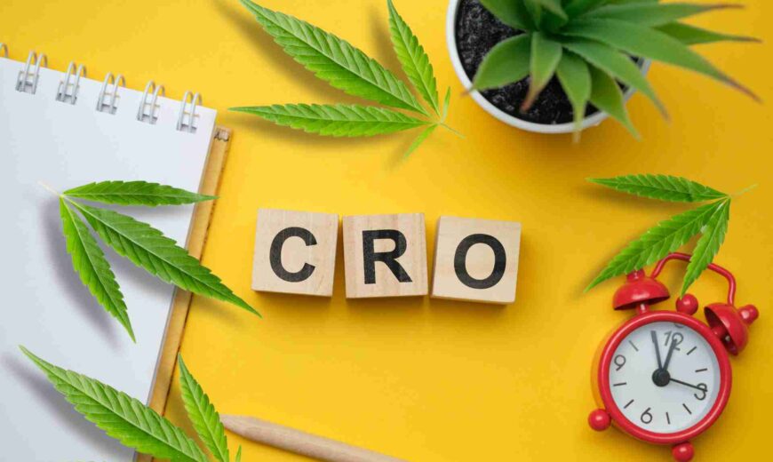 Conversion-rate-optimization-for-cannabis-websites