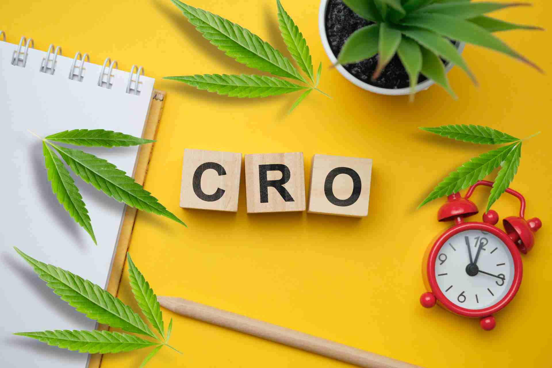 Conversion-rate-optimization-for-cannabis-websites