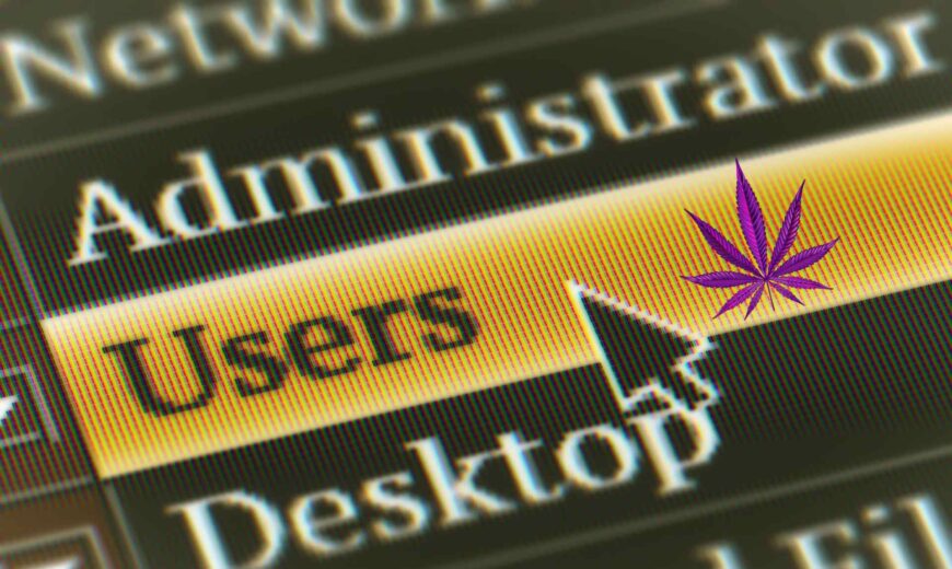 How to Ensure Accessibility for Users in Cannabis Website