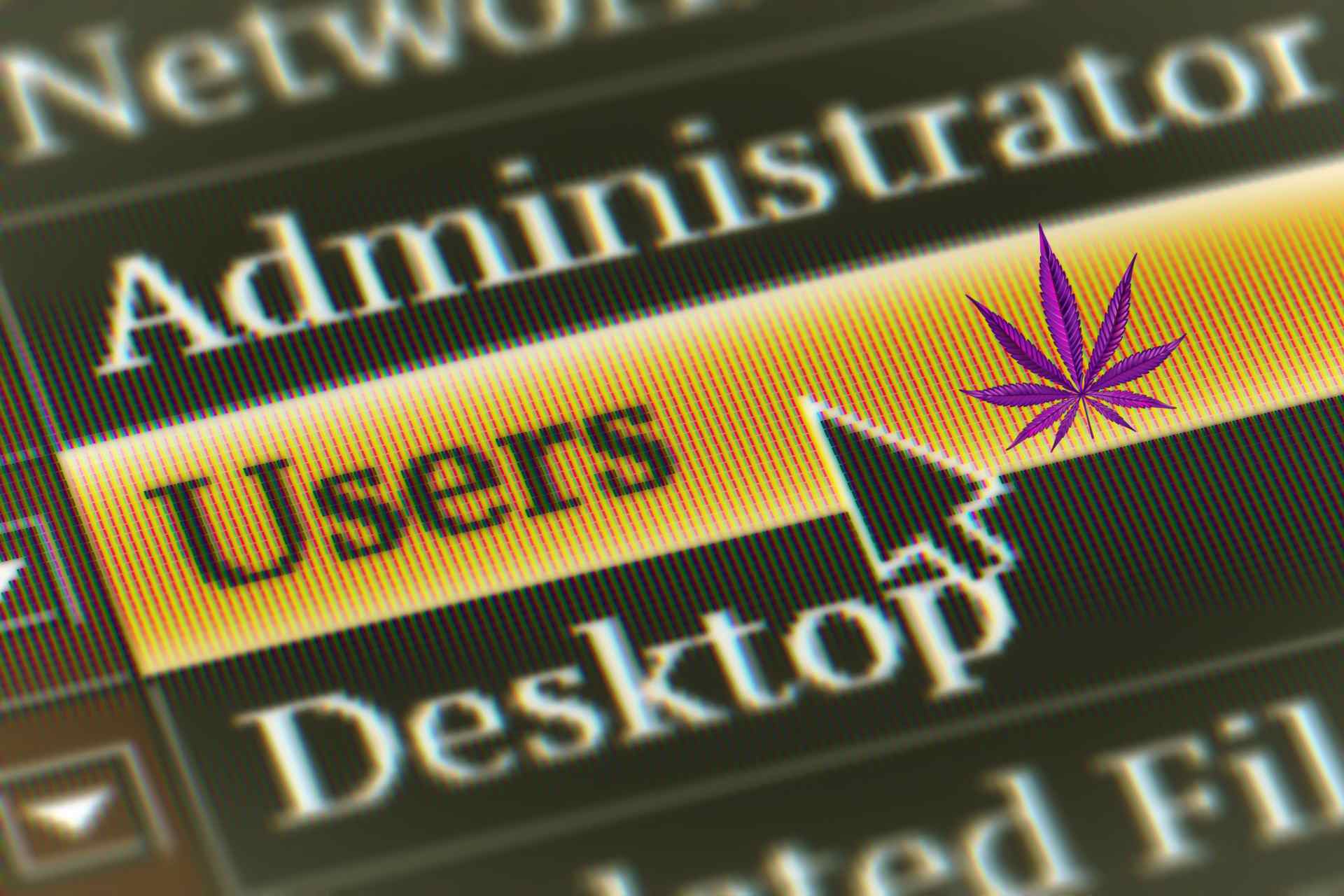 How to Ensure Accessibility for Users in Cannabis Website