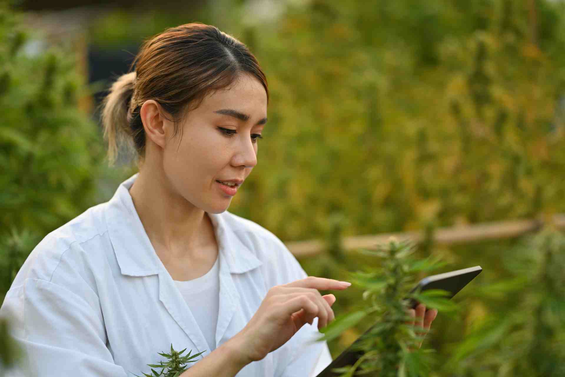 How to Optimize Influencer Marketing Strategies in the Cannabis Industry