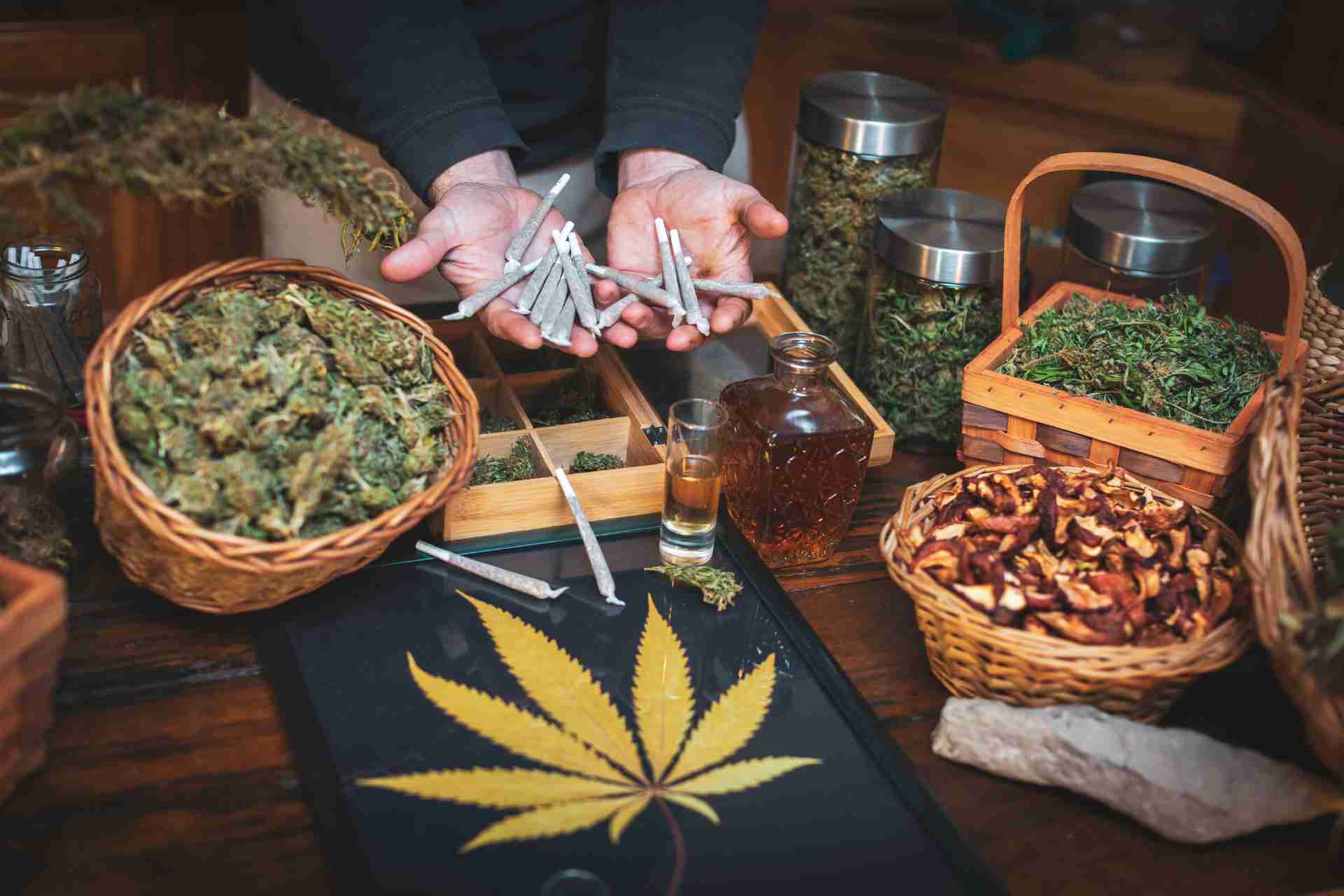 How-to-use-advanced-analytics-to-refine-SEO-strategies-for-cannabis-businesses