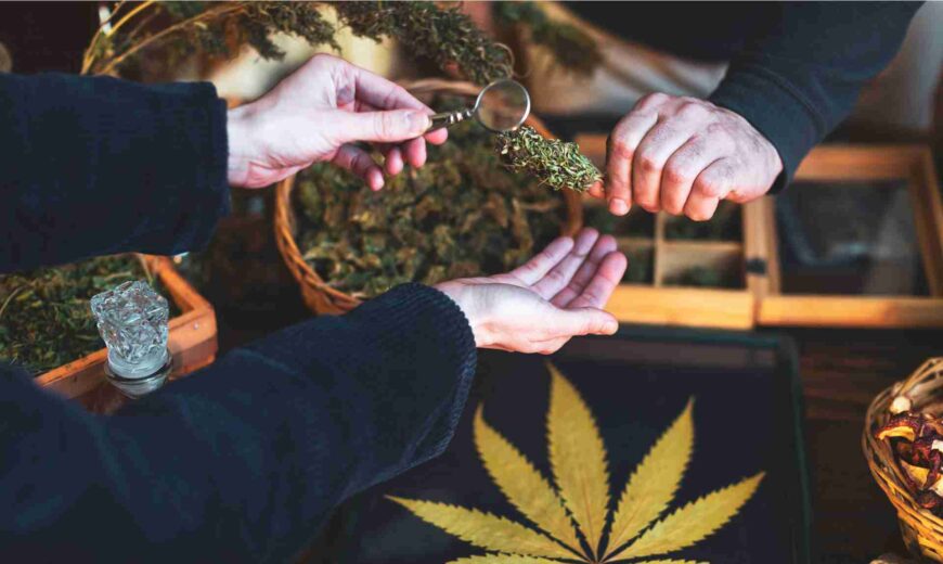 How-to-use-cannabis-business-listings-to-improve-SEO-and-local-visibility