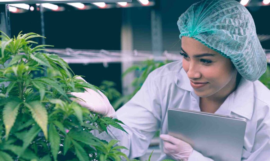 Introduction to Cannabis Social Media Marketing
