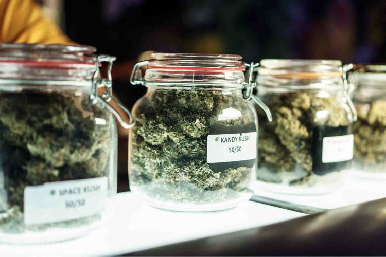 Techniques-to-Engage-Local-PR-and-Media-Outreach-for-Cannabis