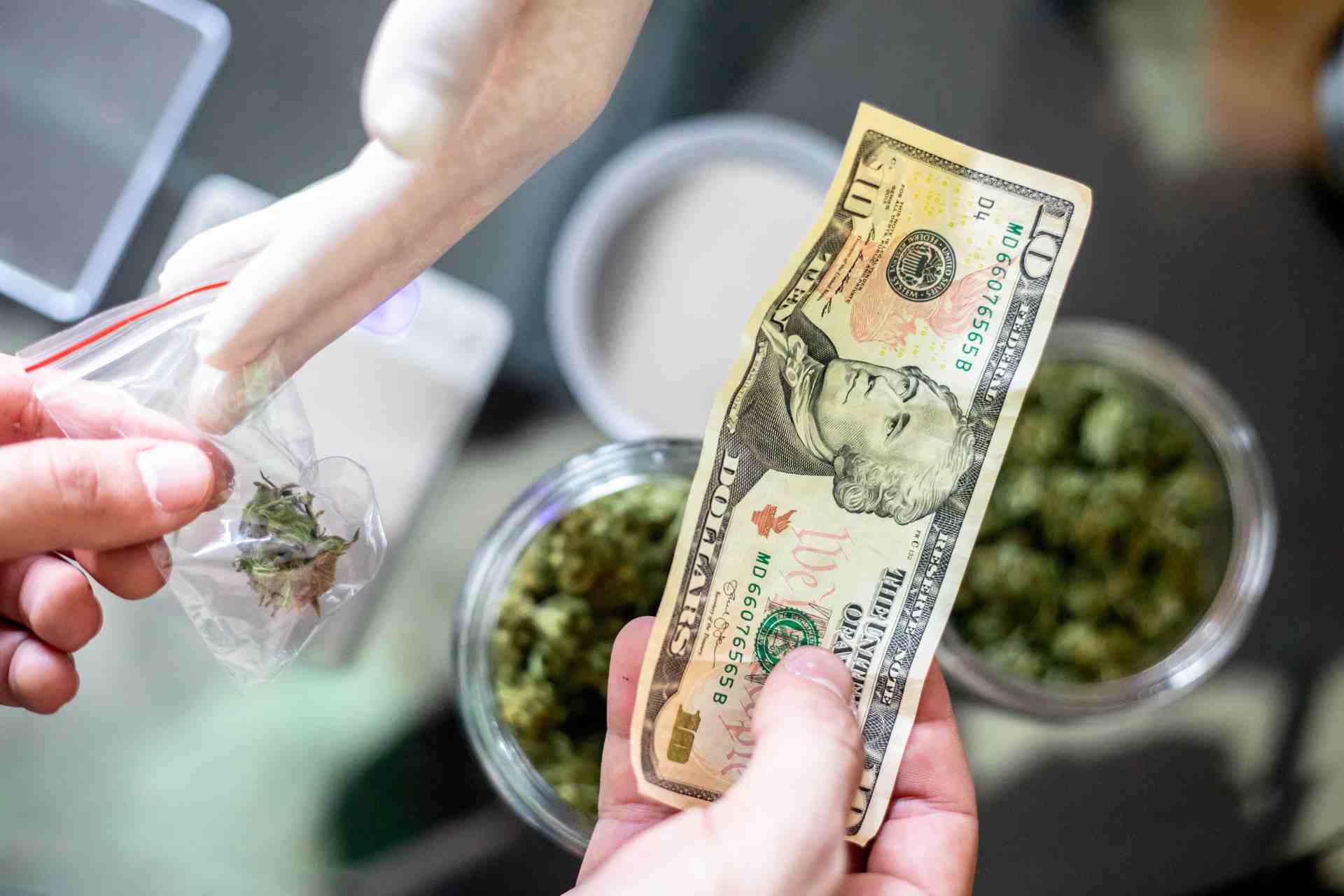 Techniques to Manage PR Crises in the Cannabis Industry