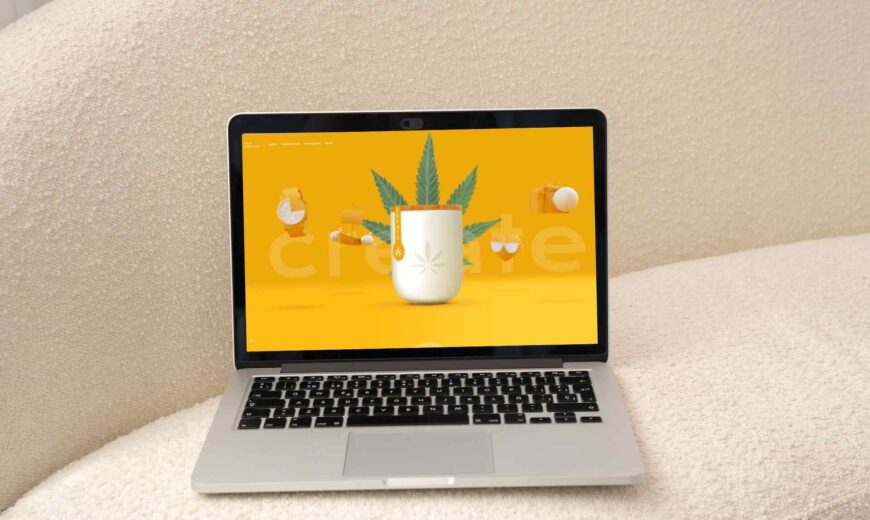 Tips for User Experience Optimization for Cannabis Websites to Boost User Engagement