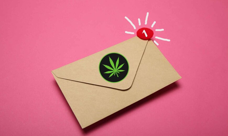 An-Overview_-Cannabis-Email-Marketing