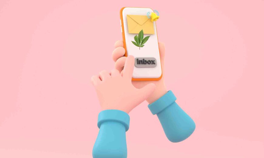 Best Practices_ Timing and Frequency for Cannabis SMS Marketing.