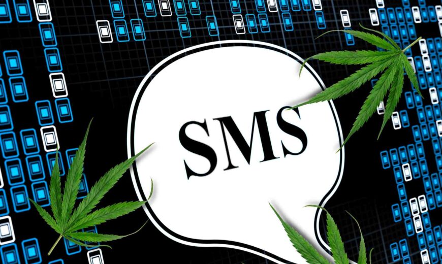 How to Segment the Audience in Cannabis SMS Marketing
