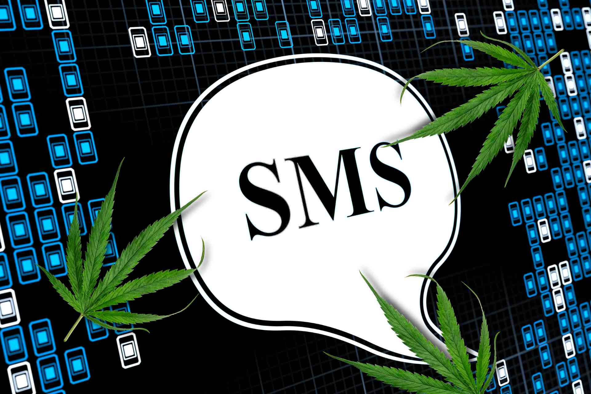 How to Segment the Audience in Cannabis SMS Marketing