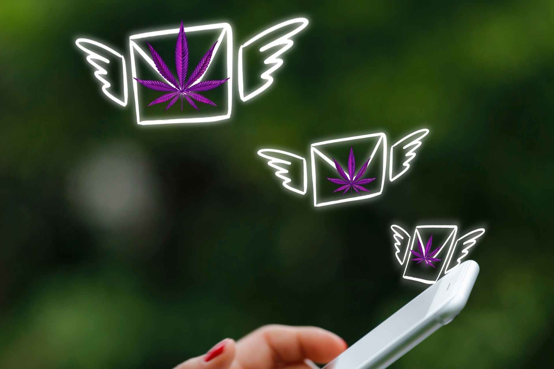 How to Use Automation in Cannabis Email Marketing