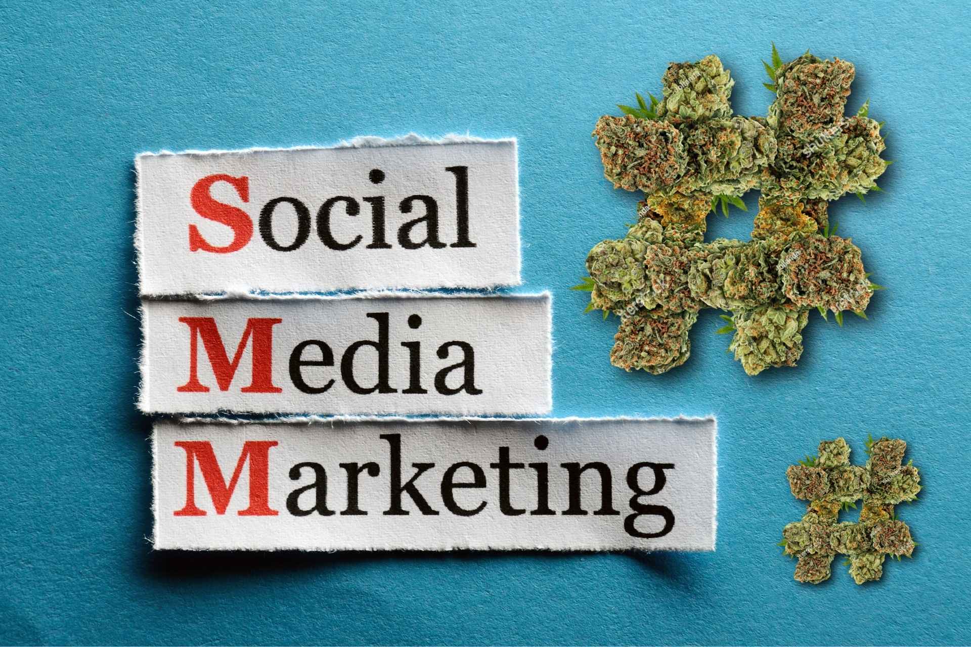 How to Use Hashtags and Trends in Cannabis SMM