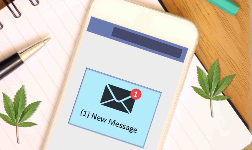 Improving Mobile User Experience for Cannabis SMS Campaigns