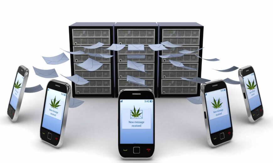 Introduction-to-Cannabis-SMS-Marketing.