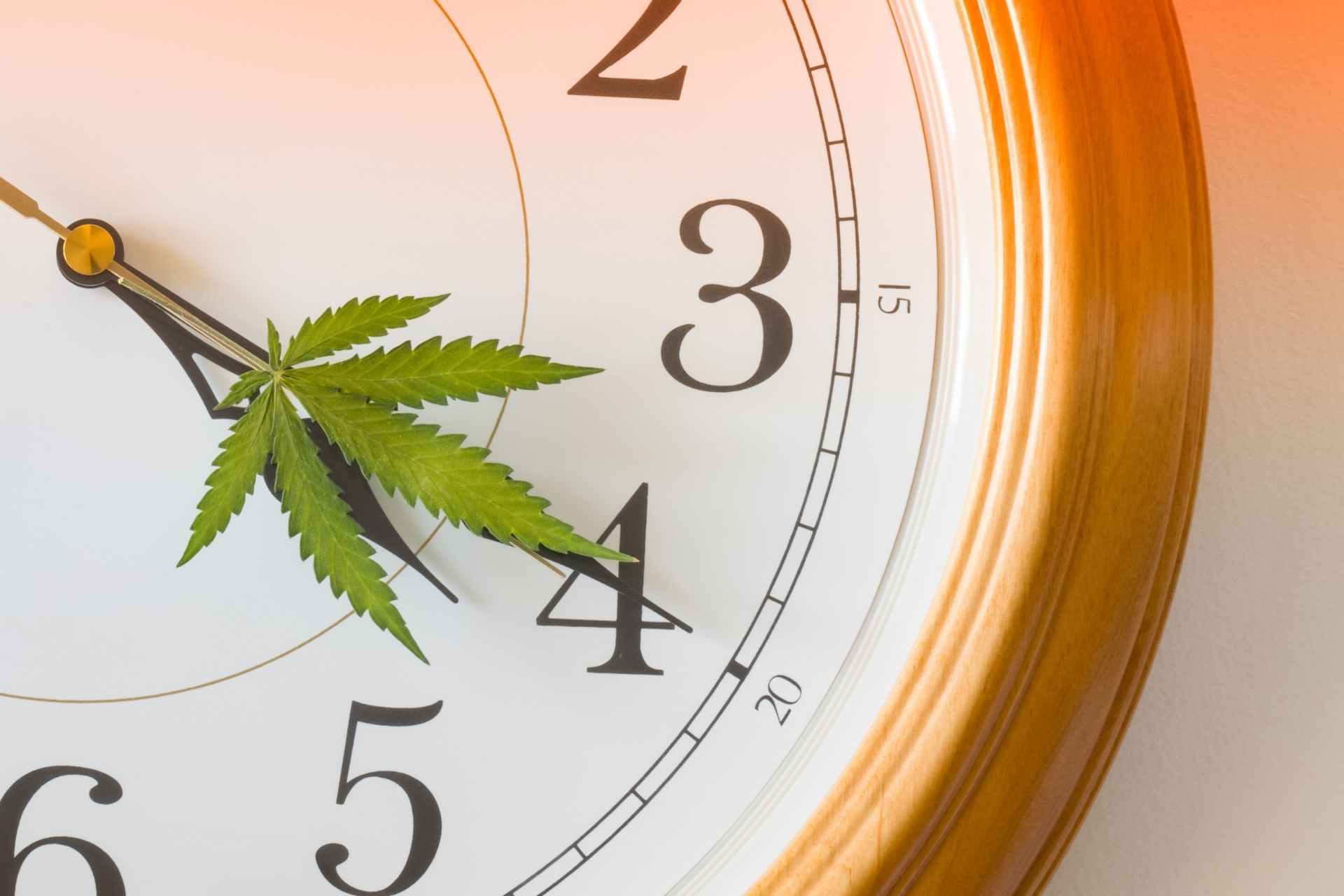 Seasonal Campaigns and Promotions for Cannabis Industry