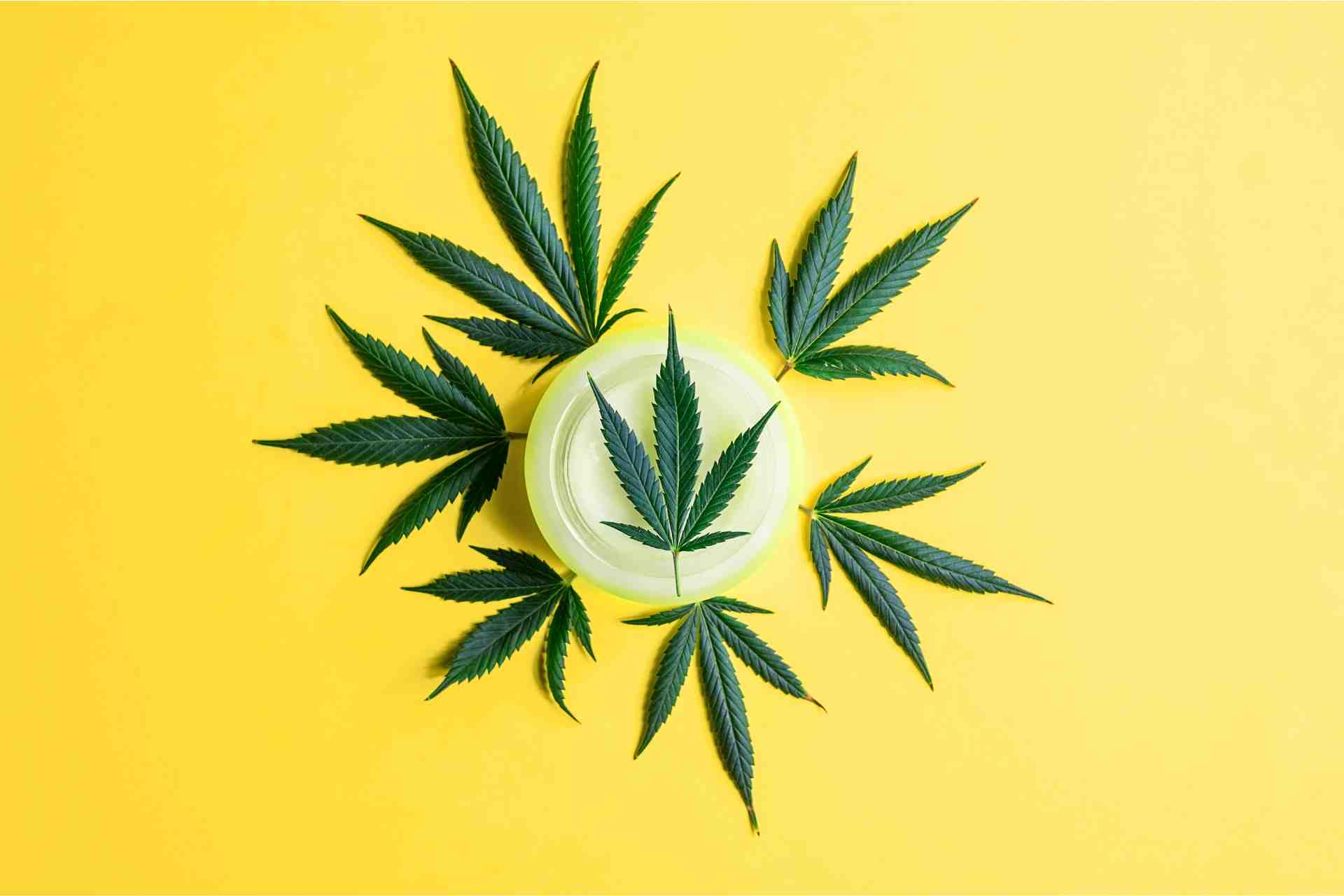 How-to-Create-Content-for-CBD-Marketing.